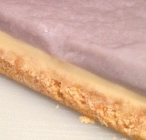Biscuit Coconut and Jelly Slice
